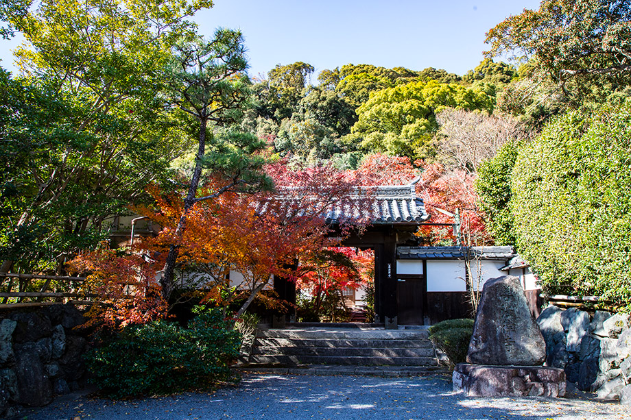 善法律寺