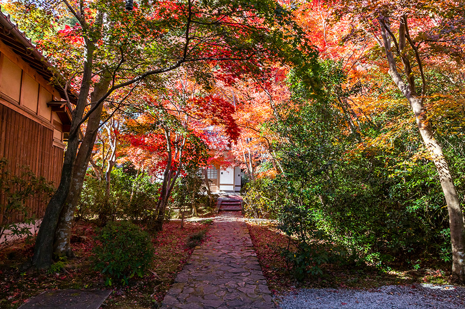 善法律寺
