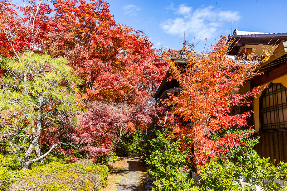 善法律寺