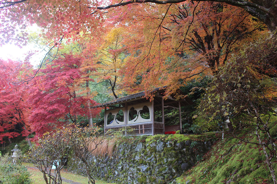 白龍園