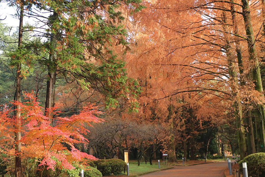 京都府立植物園