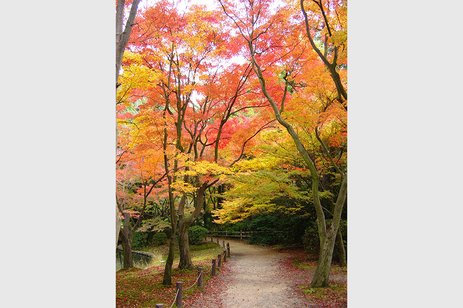 京都府立植物園
