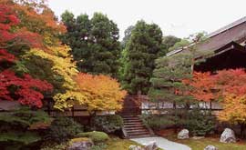 Sennyu-ji Temple