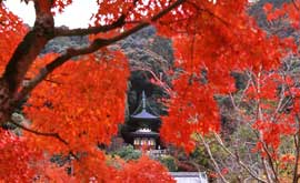 Eikan-do Temple