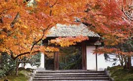 안라쿠지(安楽寺)