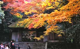 Honen-in Temple