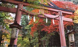 Hiyoshi Taisha Shrine