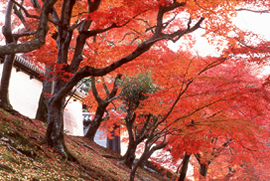 Manshu-in Temple