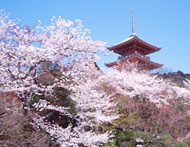 Kiyomizu-dera Temple