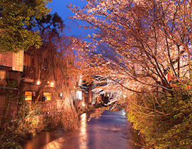 Shirakawa River in Gion