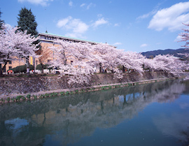 岡崎公園