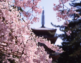 Daigo-ji Temple