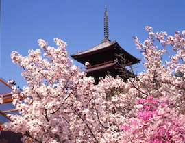 Ninna-ji Temple