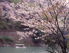 嵐山、嵯峨野