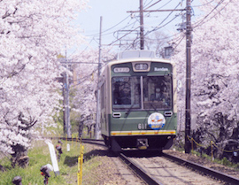 櫻花隧道(鳴滝車站～宇多野車站間)