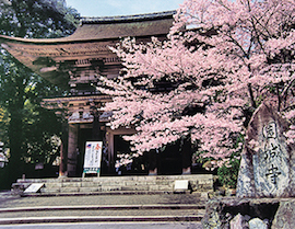 Mii-dera Temple