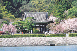 Ishiyama-dera Temple