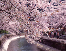 Yamashina Canal