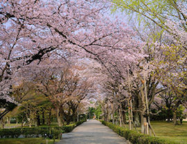 Nijo Castle