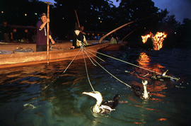 Cormorant Fishing on the Uji River