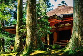 Hiking Adventure on the Kyoto Trail!