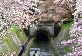 On a day trip, enjoy the Lake Biwa Canal Cruise and temples along the railway