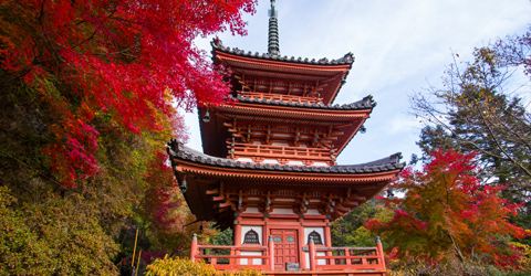 Autumn Colors