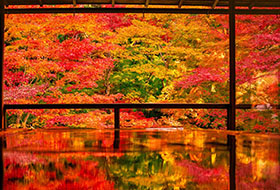 Explore the art, nature and history of Kyoto and Osaka using train pass of great value