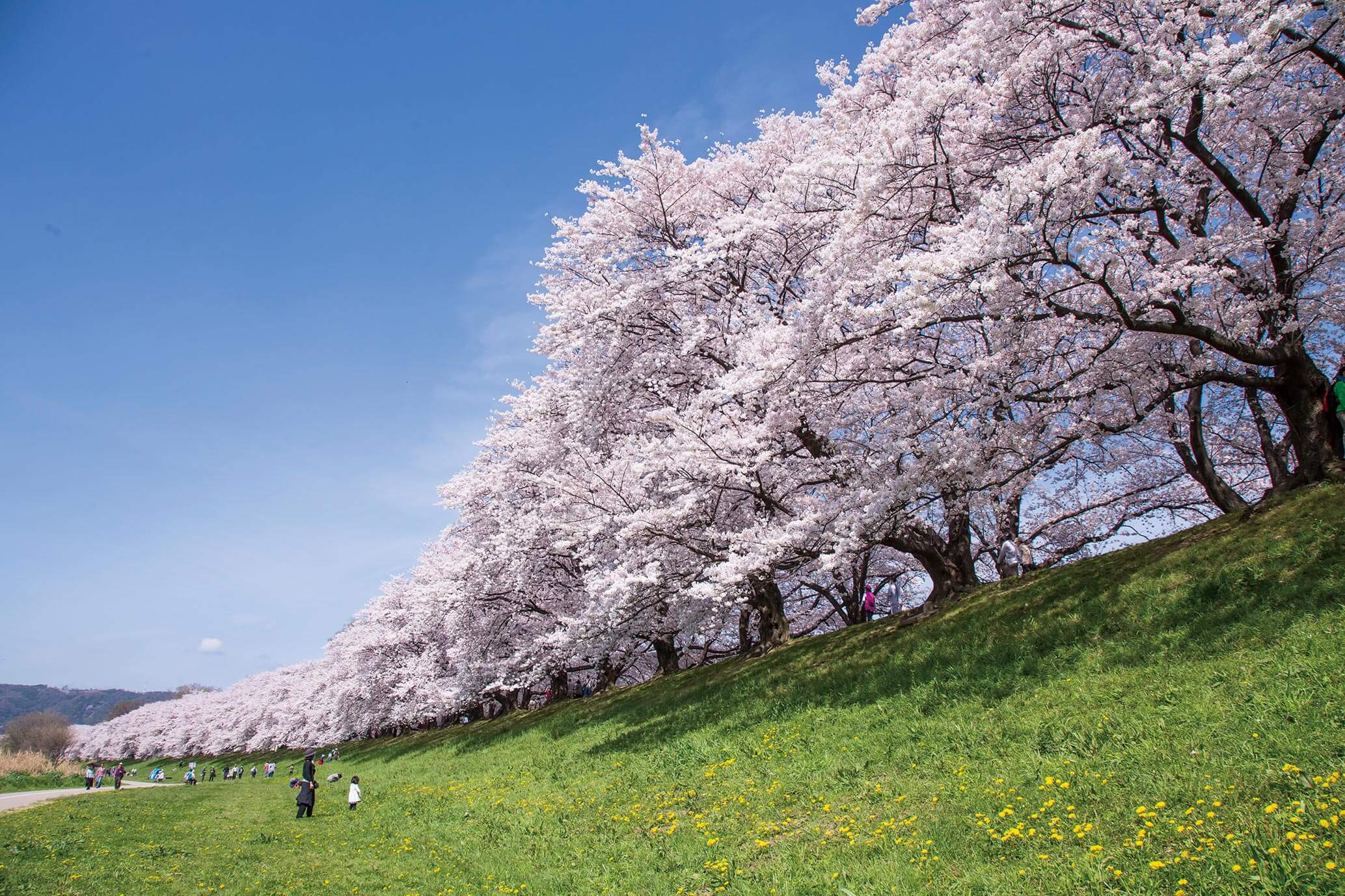 Keihan Electric - Traveling between Osaka, Kyoto and Shiga