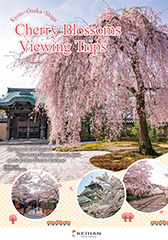 Kyoto, Osaka and Shiga Cherry Blossoms Viewing Trips