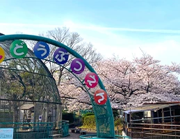 八幡市立さくら近隣公園