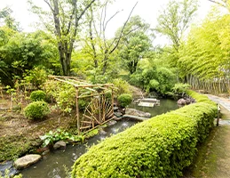 松花堂庭園・美術館