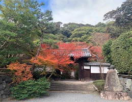 善法律寺