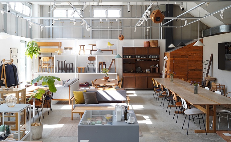 graf studio