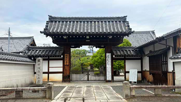 詩仙堂の青もみじ 見頃情報 | 京都・大阪・滋賀の青もみじ・初夏の花