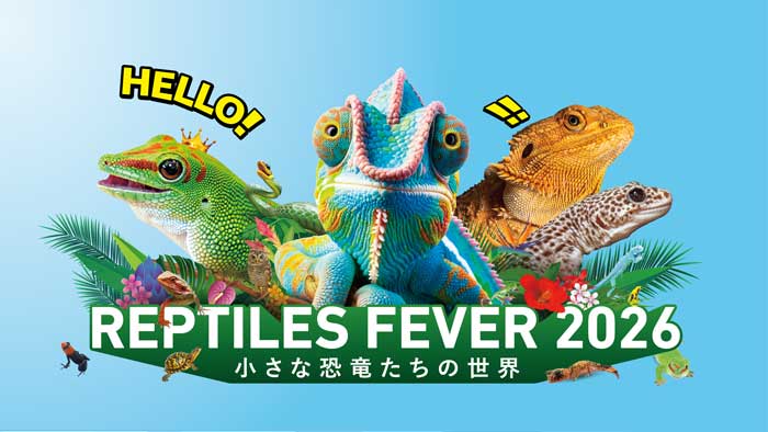 レプタイルズフィーバー 2026 ～小さな恐竜たちの世界～［大阪南港ATC